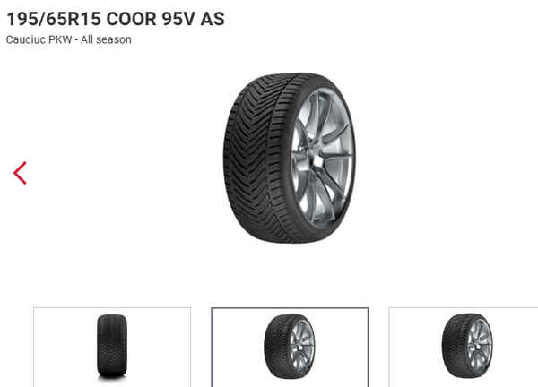 ANVELOPA ALL SESSON 195/65R15 COOR 95V AS ORIUM